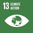 ESG goal 13: climate action
